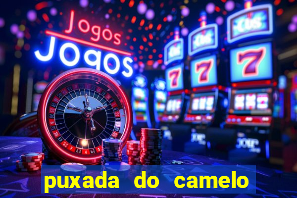 puxada do camelo no jogo do bicho